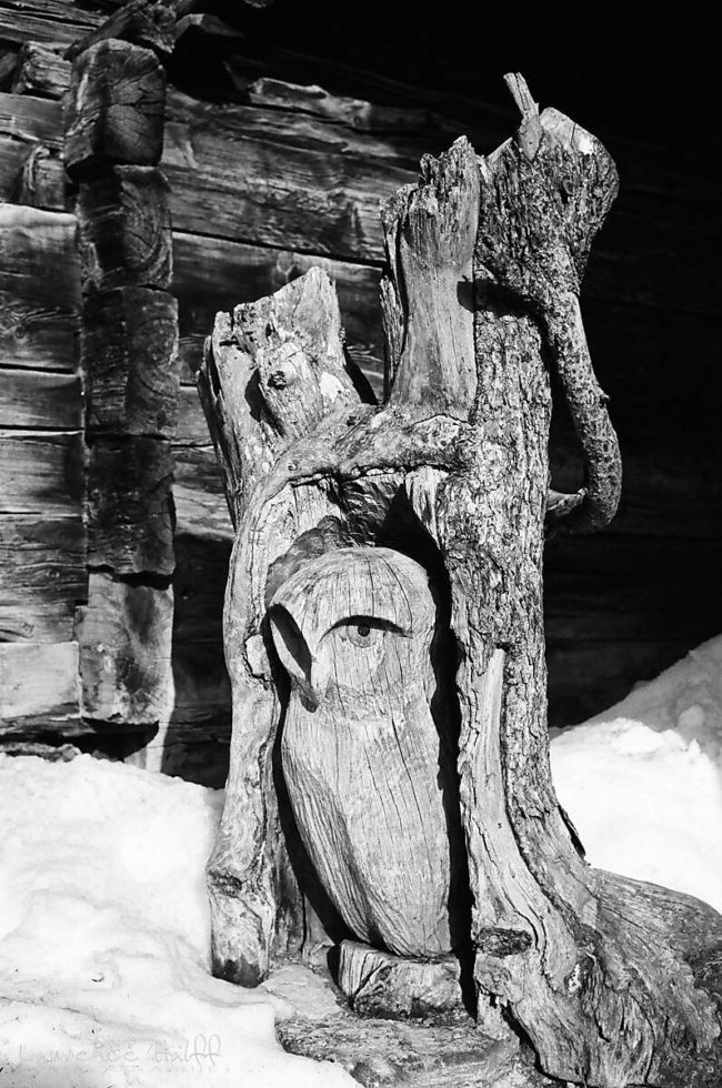 Hibou de Bois