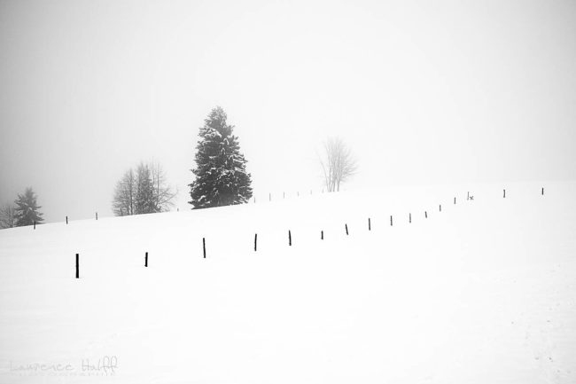 Brouillard