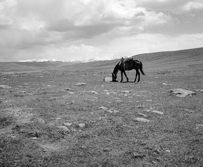 image0022-2