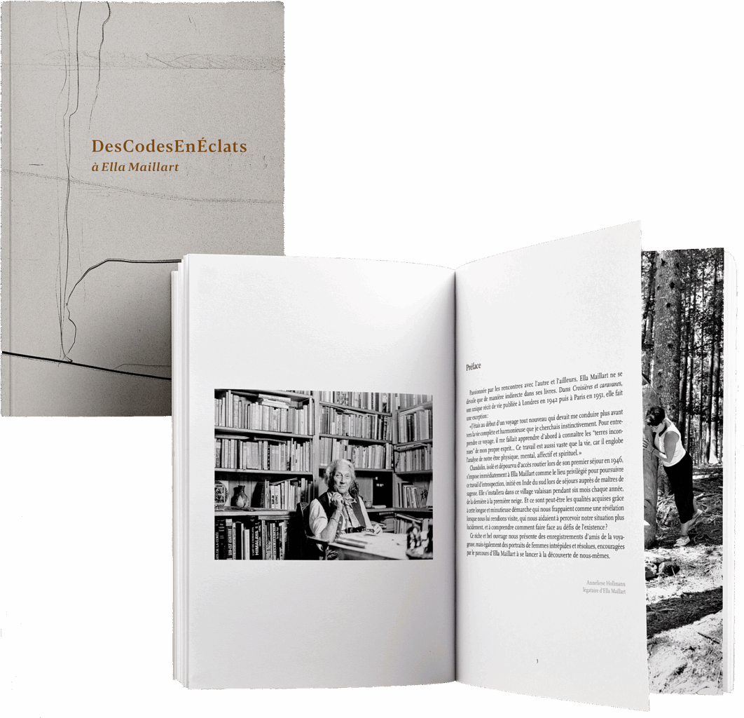 DesCodesEnEclats, le livre